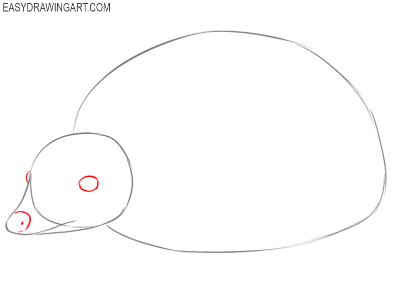 how to draw a hedgehog easy 