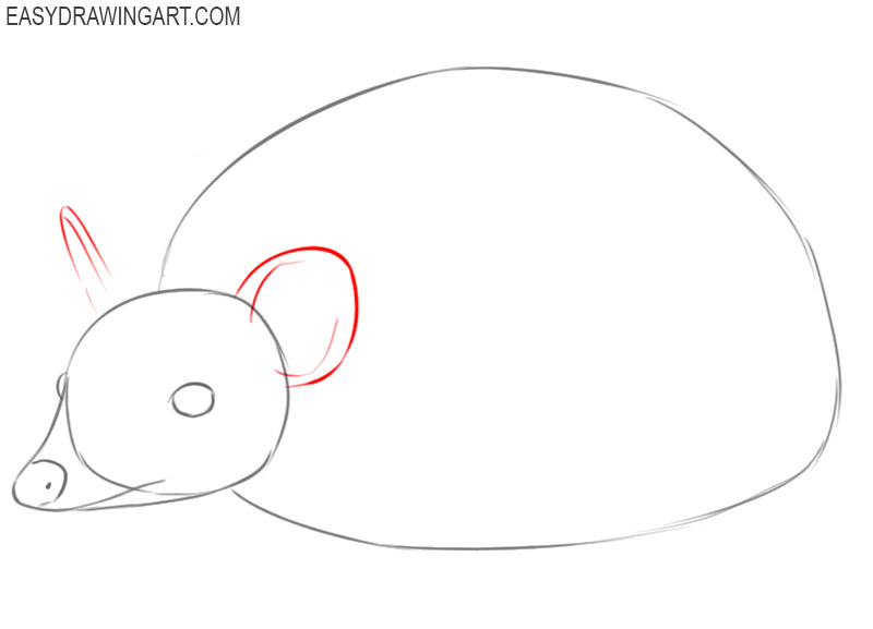 how to draw a hedgehog step by step 