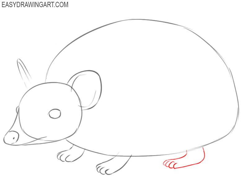 how to draw a hedgehog step by step for beginners 