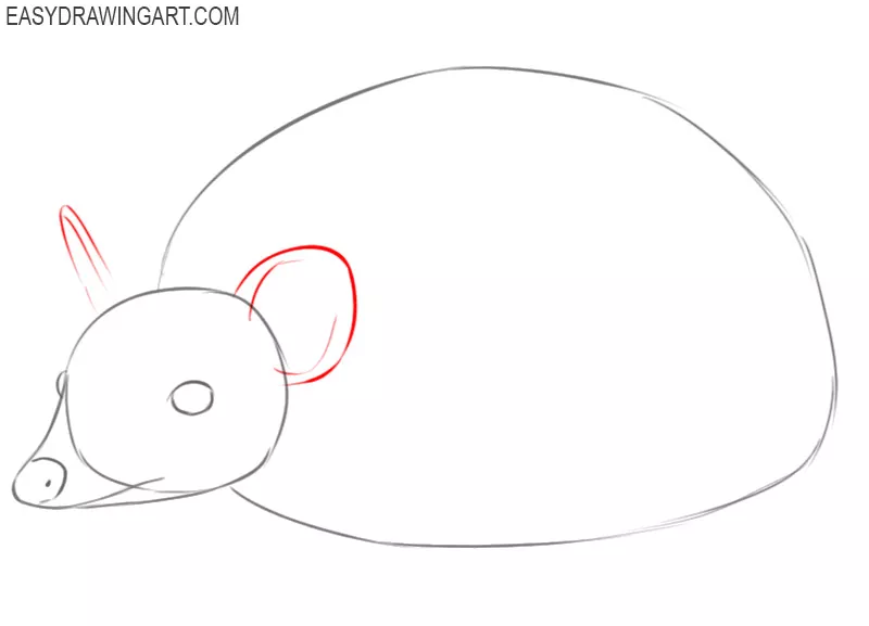 how to draw a hedgehog step by step 