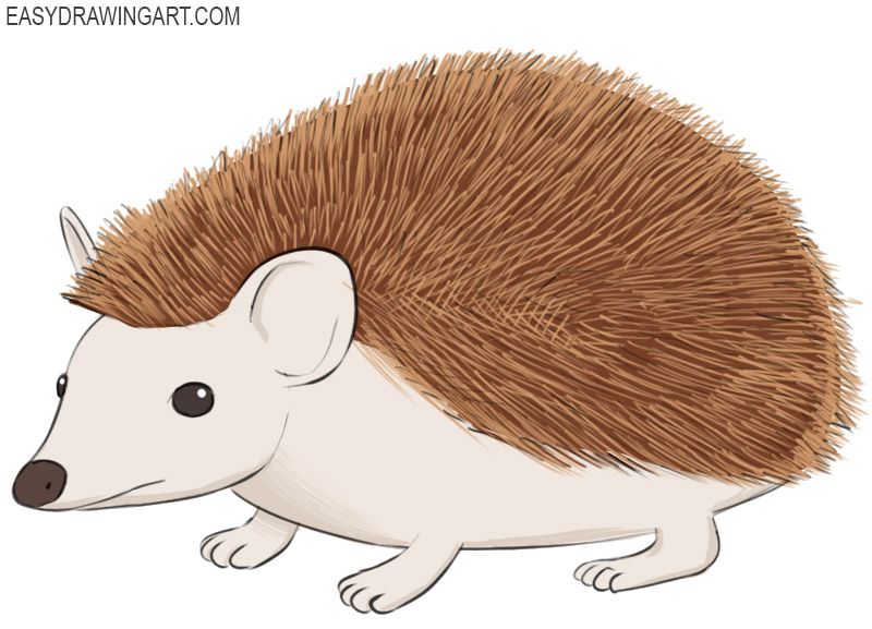 how to draw a hedgehog
