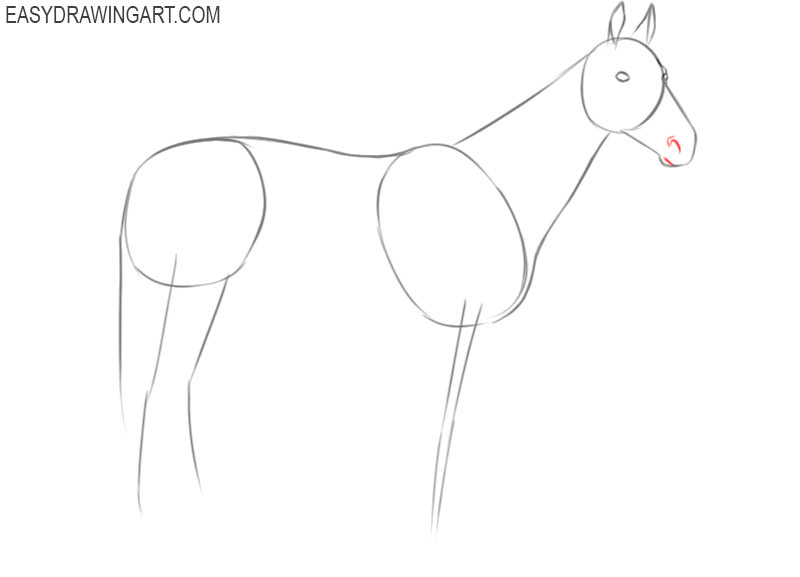 how to draw a horse beginners