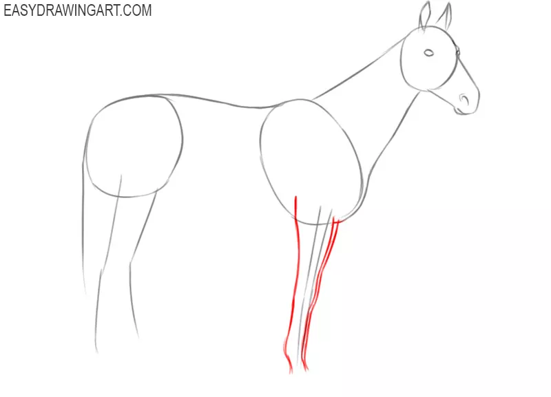 how to draw a horse by steps