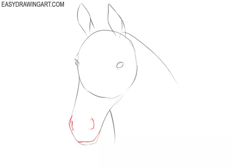 how to draw a horse head profile
