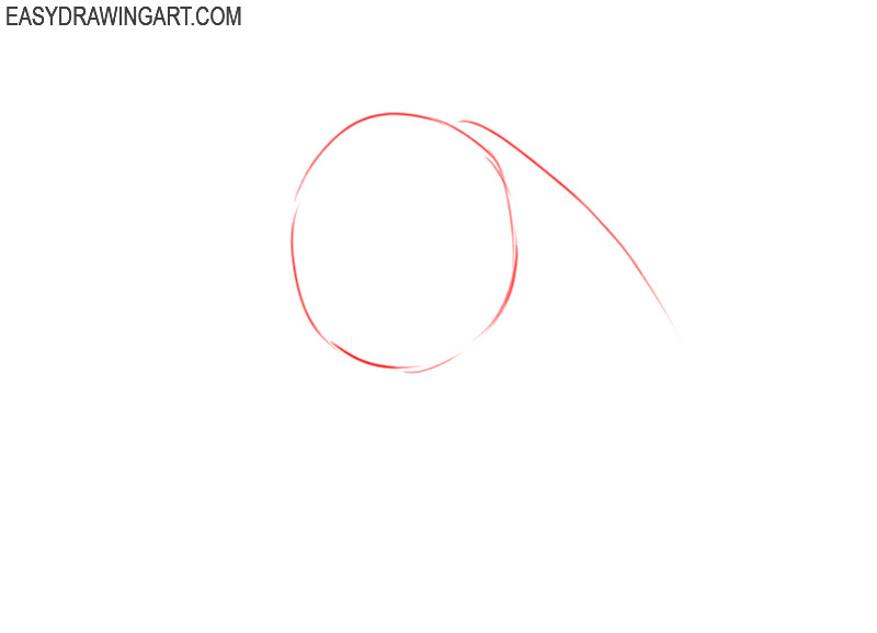 how to draw a horse head step by step