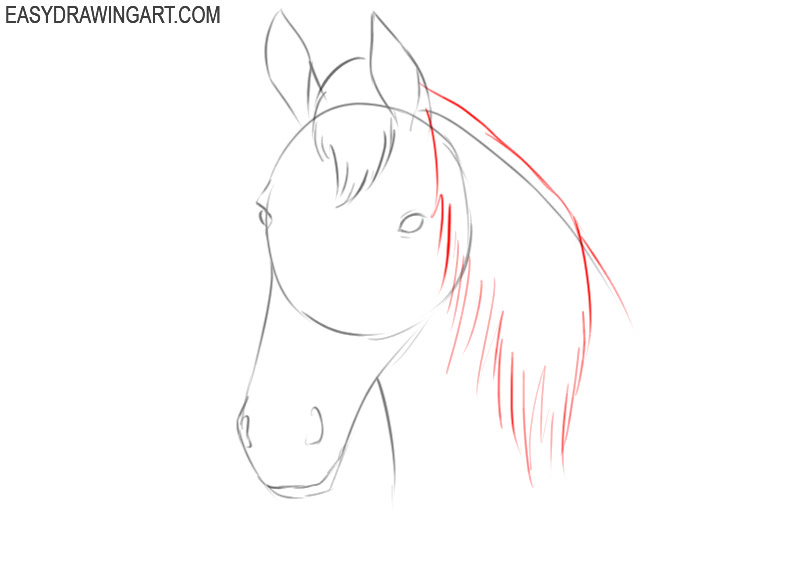 how to draw a simple horse head for beginners