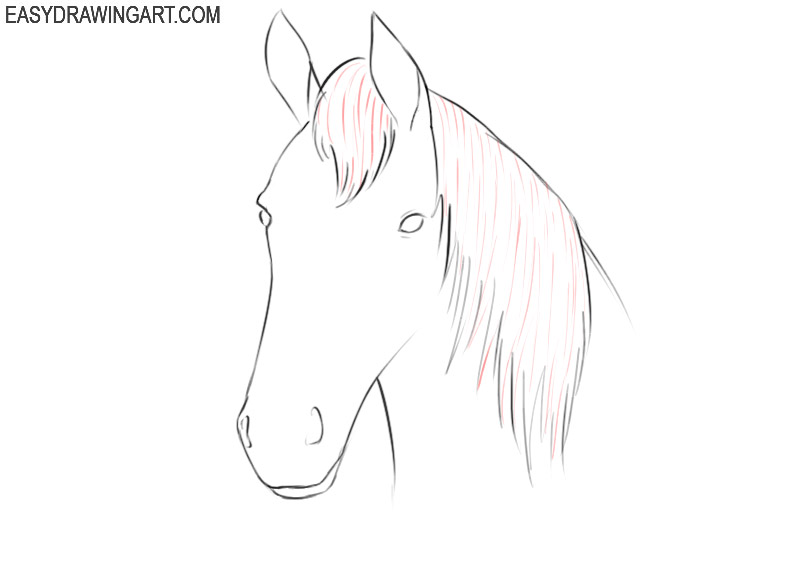 how to draw a cartoon horse head easy