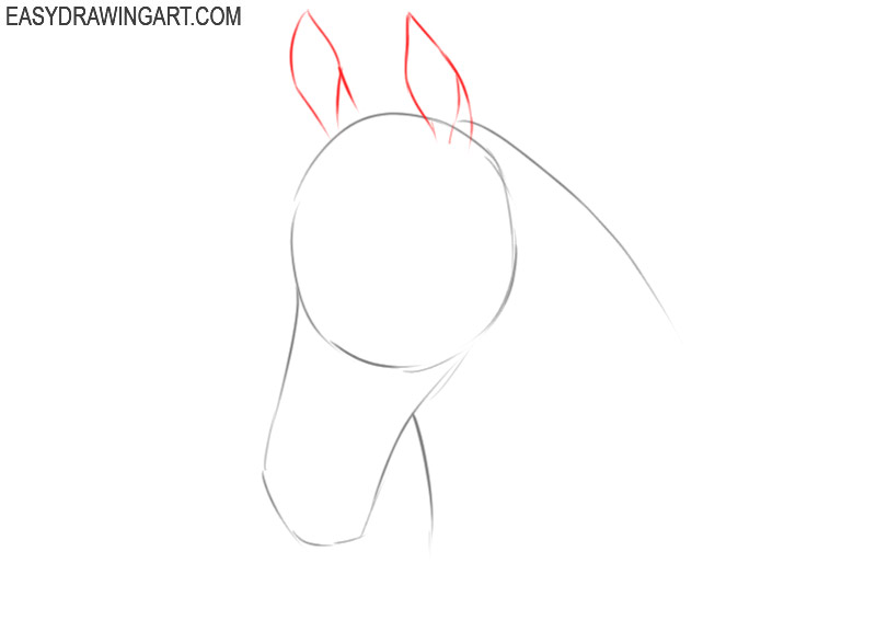 how to draw a horse head step by step easy