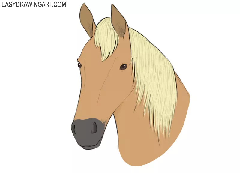 how to draw a simple cartoon horse