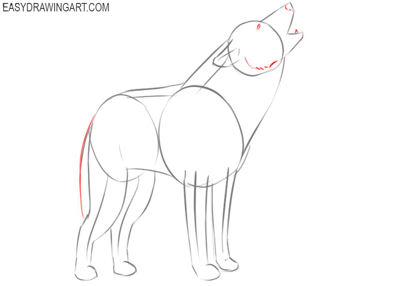 how to draw a howling wolf step by step