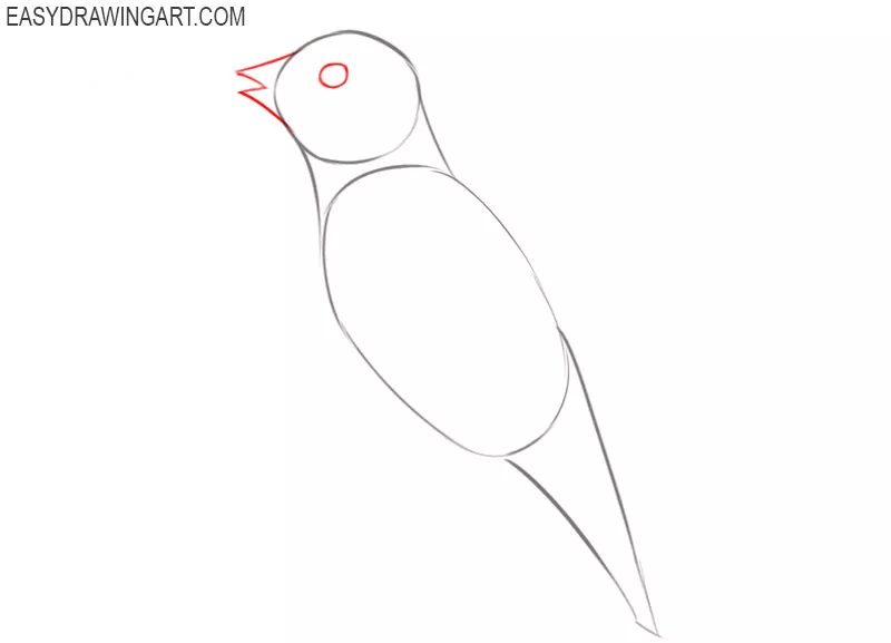 how to draw a hummingbird cartoon
