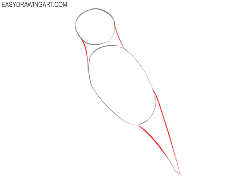 how to draw a hummingbird easy step by step