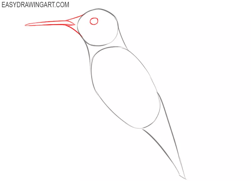 how to draw a hummingbird flying