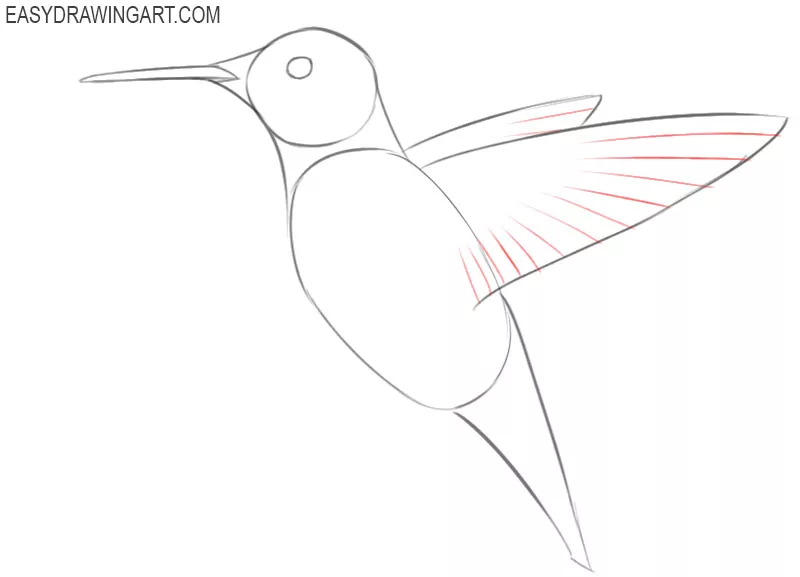 how to draw a hummingbird so cute