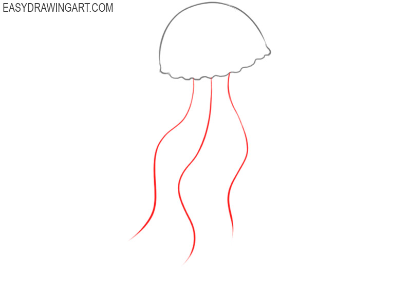 how to draw a jellyfish step by step