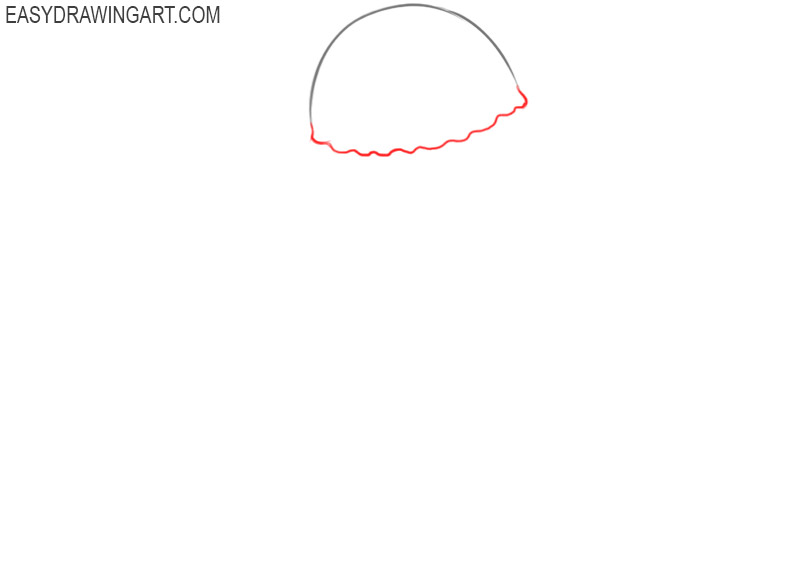how to draw a jellyfish cartoon
