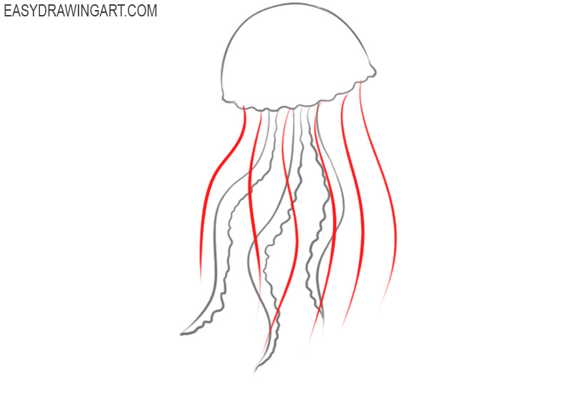 how to draw a jellyfish step by step