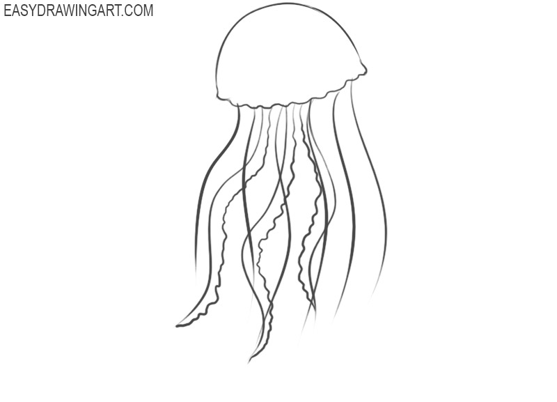 how to draw a jellyfish cute