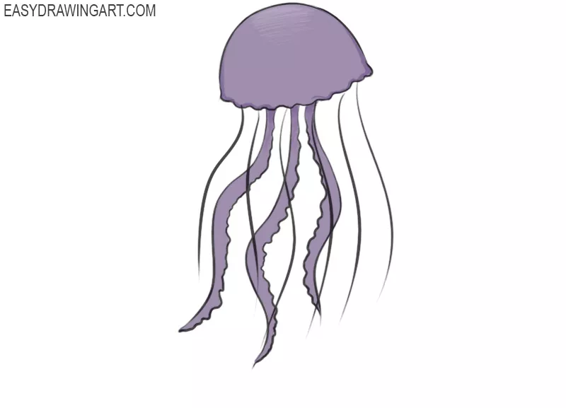 how to draw a jellyfish