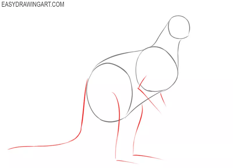 how to draw a kangaroo easy