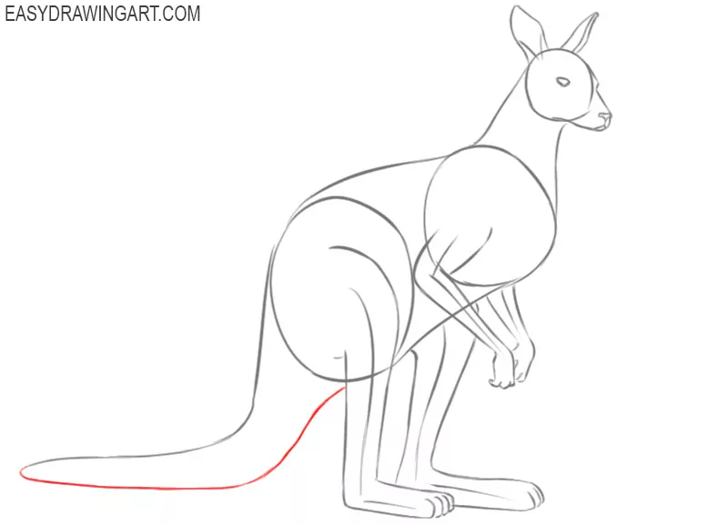 how to draw a kangaroo outline