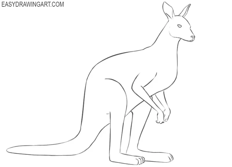 how to draw a kangaroo pictures