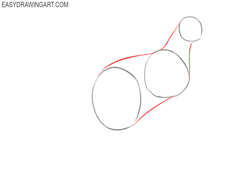 how to draw a kangaroo step by step