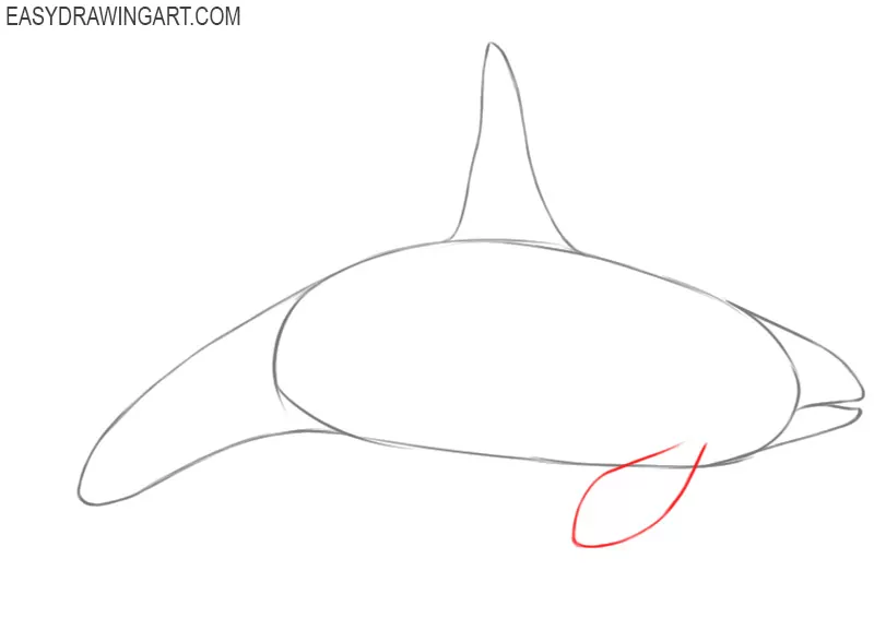 Jumping killer whale, ink painting - Stock Illustration [104457513] - PIXTA