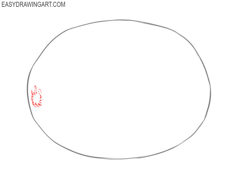 how to draw a kiwi fruit step by step