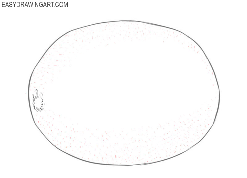 how to draw kiwi fruit drawings