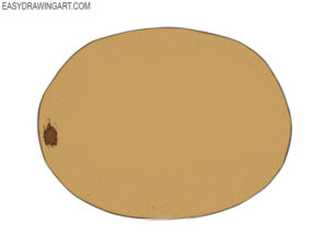 How to draw a kiwi