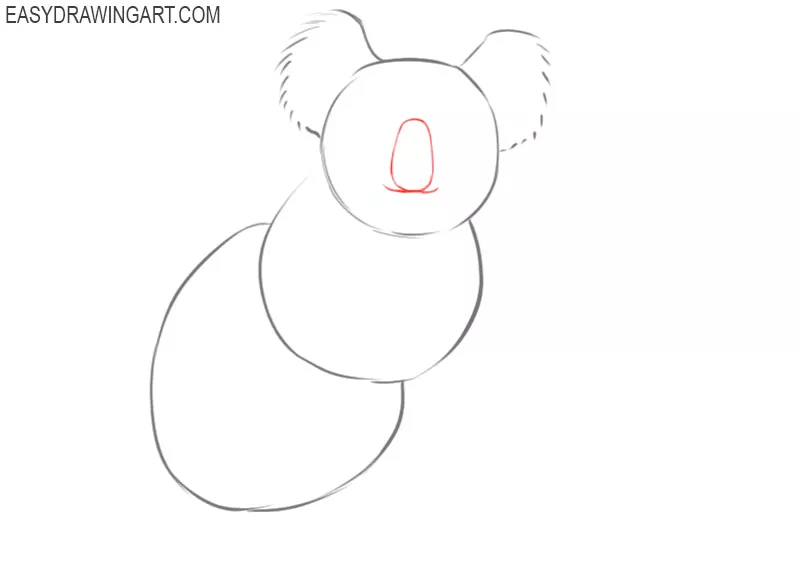 how to draw a koala for kids