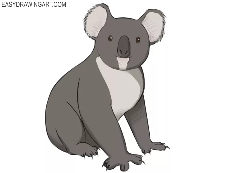how to draw a koala