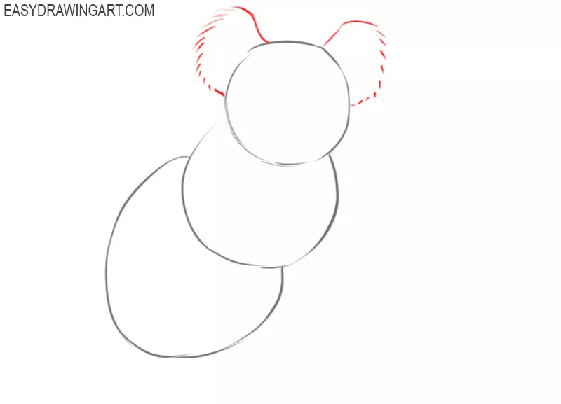how to draw a koala step by step