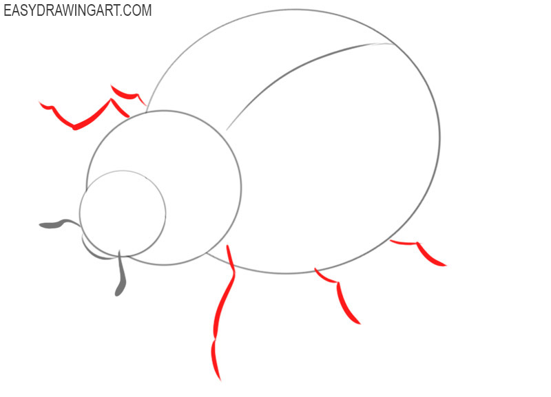 how to draw a ladybug easy drawing