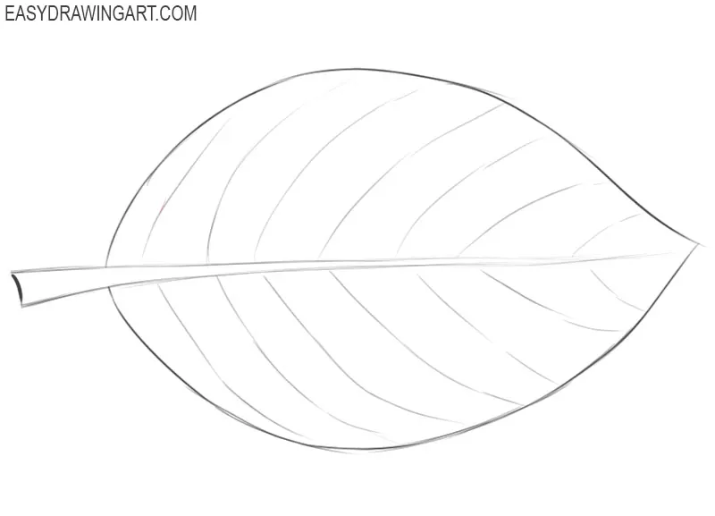 10 Leaf Drawing Step by Step Tutorials - Smiling Colors