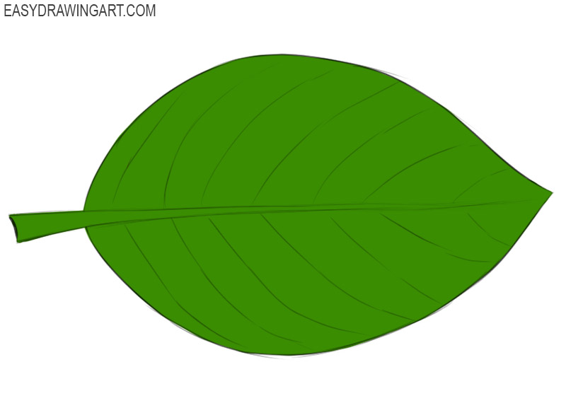 how to draw a leaf