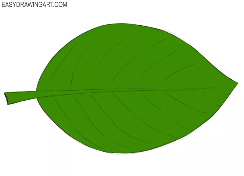 How to Draw a Leaf Easy Drawing Art