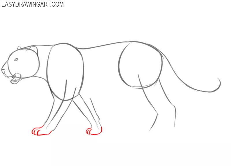 how to draw a leopard draw so cute