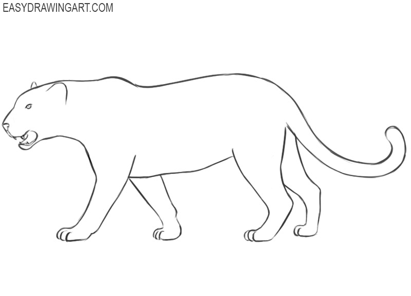 leopard drawing easy