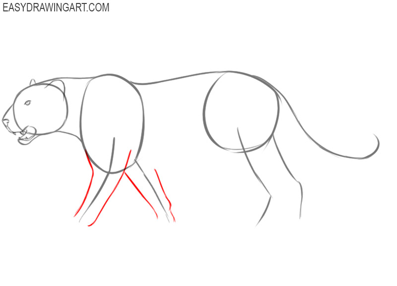 how to draw a cute leopard step by step