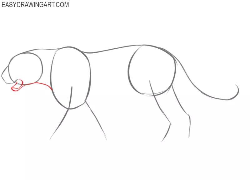 how to draw a leopard step by step easy