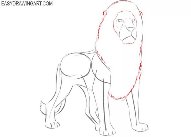 How to Draw a Lion - Easy Drawing Art