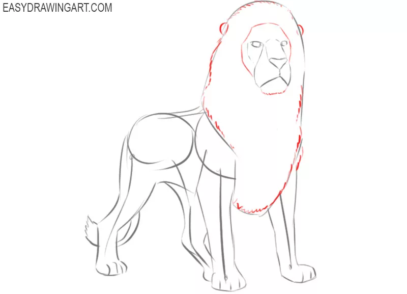 how to draw a lion by step