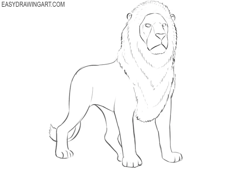 how to draw a lion cute