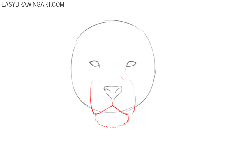 how to draw a lion head for beginners