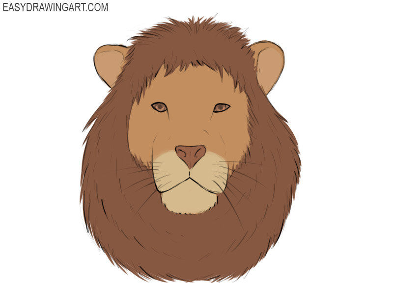 how to draw a lion head