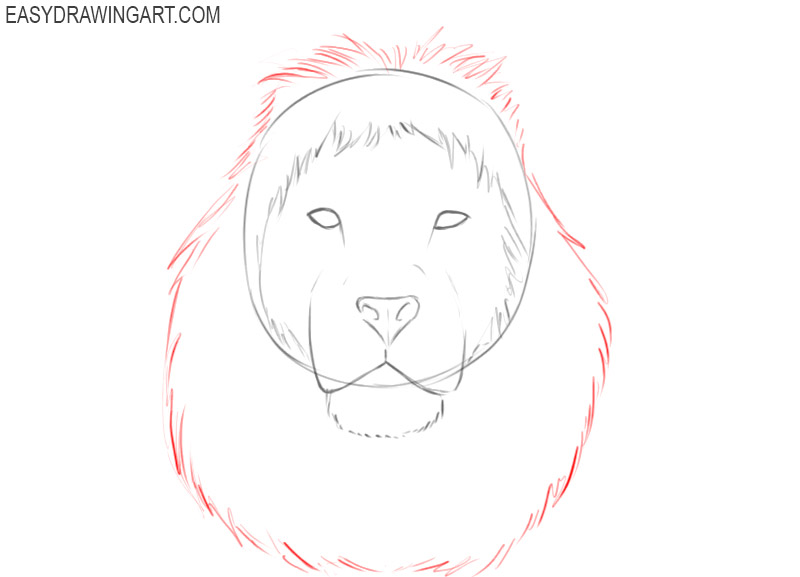 how to draw a lion head easy step by step