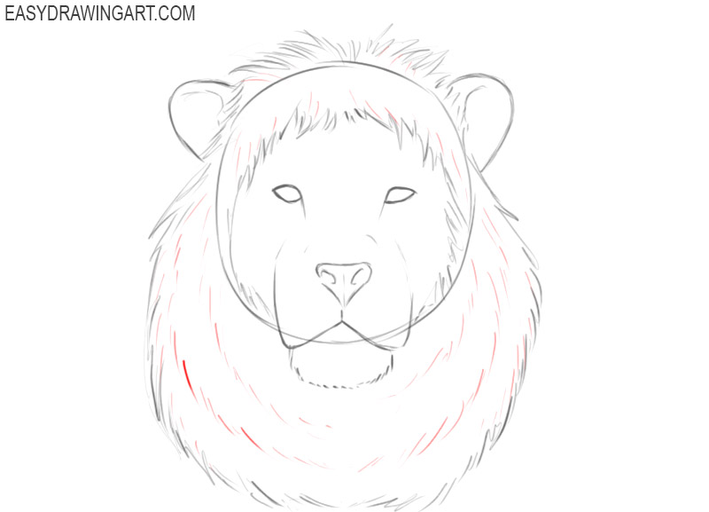 how to draw a basic lion head