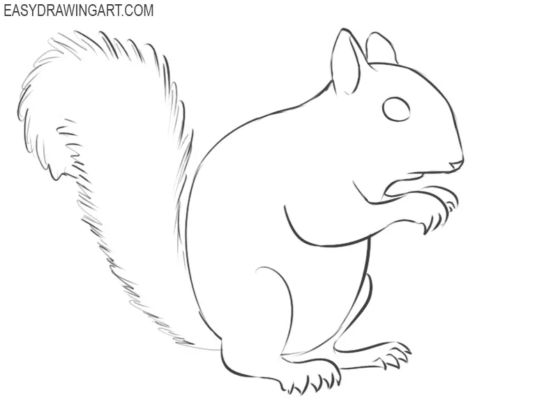how to draw a little squirrel